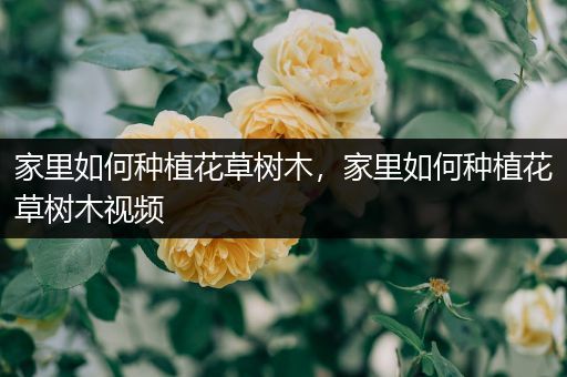 家里如何种植花草树木，家里如何种植花草树木视频