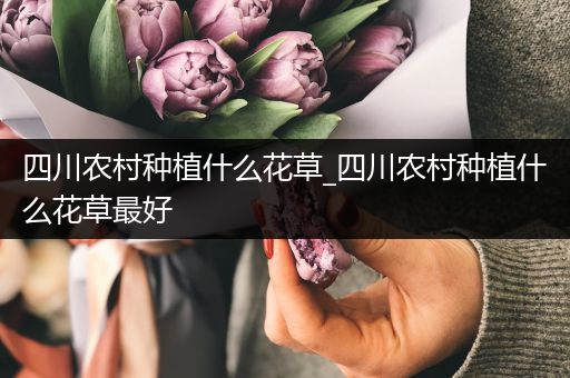 四川农村种植什么花草_四川农村种植什么花草最好