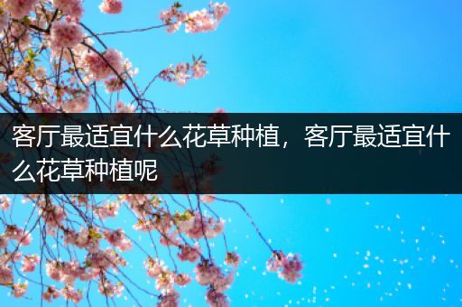 客厅最适宜什么花草种植，客厅最适宜什么花草种植呢