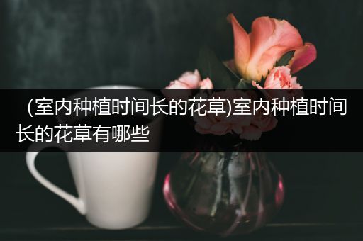 （室内种植时间长的花草)室内种植时间长的花草有哪些