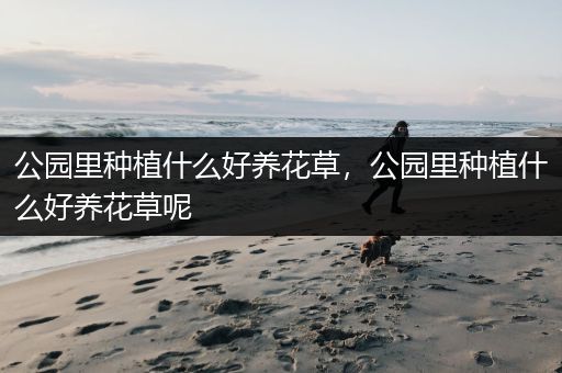 公园里种植什么好养花草，公园里种植什么好养花草呢