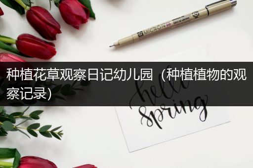 种植花草观察日记幼儿园（种植植物的观察记录）