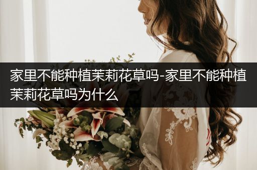 家里不能种植茉莉花草吗-家里不能种植茉莉花草吗为什么