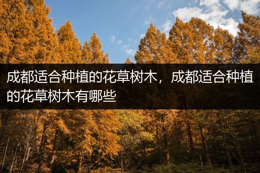 成都适合种植的花草树木，成都适合种植的花草树木有哪些