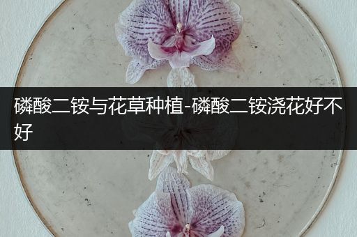 磷酸二铵与花草种植-磷酸二铵浇花好不好