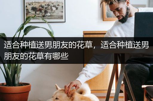 适合种植送男朋友的花草，适合种植送男朋友的花草有哪些