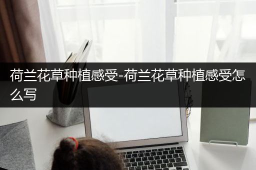 荷兰花草种植感受-荷兰花草种植感受怎么写