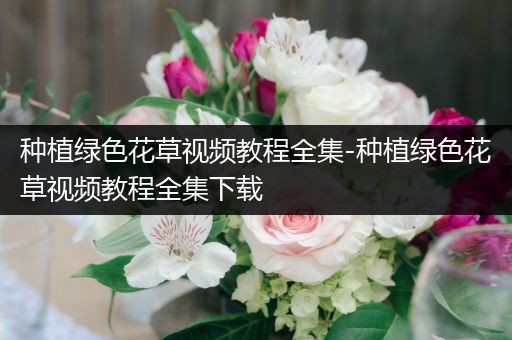 种植绿色花草视频教程全集-种植绿色花草视频教程全集下载
