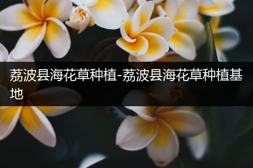 荔波县海花草种植-荔波县海花草种植基地