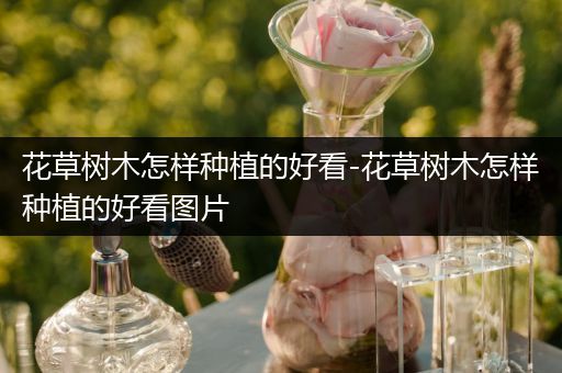 花草树木怎样种植的好看-花草树木怎样种植的好看图片