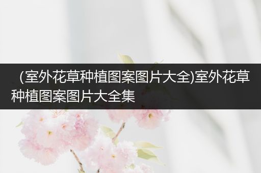 （室外花草种植图案图片大全)室外花草种植图案图片大全集
