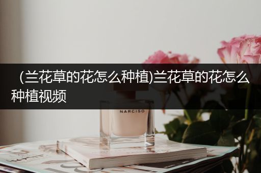 （兰花草的花怎么种植)兰花草的花怎么种植视频
