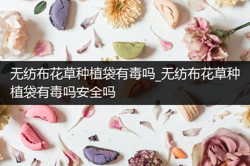 无纺布花草种植袋有毒吗_无纺布花草种植袋有毒吗安全吗