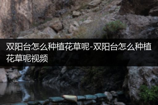 双阳台怎么种植花草呢-双阳台怎么种植花草呢视频
