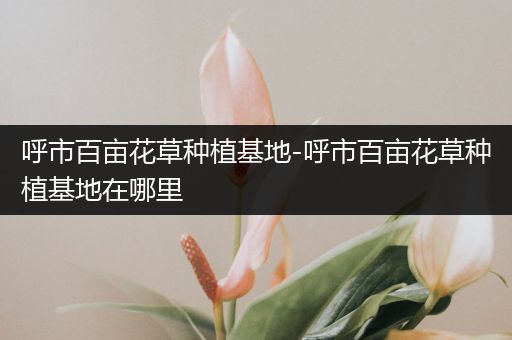 呼市百亩花草种植基地-呼市百亩花草种植基地在哪里