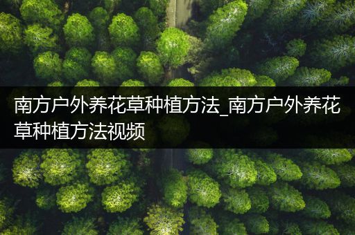 南方户外养花草种植方法_南方户外养花草种植方法视频
