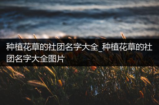 种植花草的社团名字大全_种植花草的社团名字大全图片