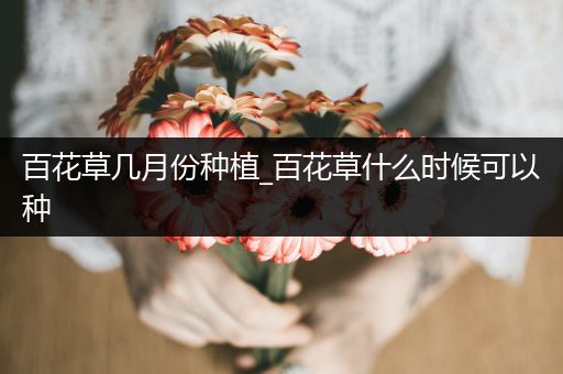 百花草几月份种植_百花草什么时候可以种