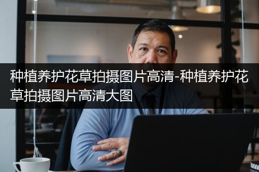 种植养护花草拍摄图片高清-种植养护花草拍摄图片高清大图