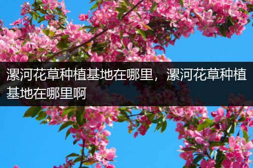 漯河花草种植基地在哪里，漯河花草种植基地在哪里啊