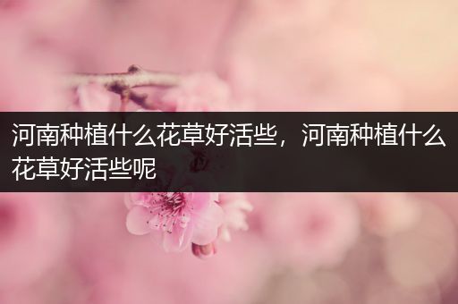 河南种植什么花草好活些，河南种植什么花草好活些呢