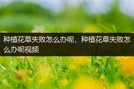 种植花草失败怎么办呢，种植花草失败怎么办呢视频