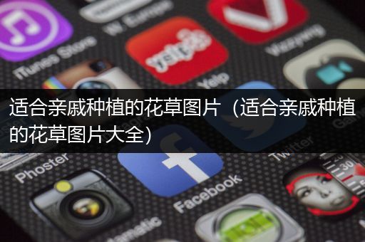 适合亲戚种植的花草图片（适合亲戚种植的花草图片大全）