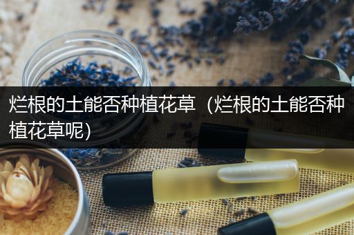 烂根的土能否种植花草（烂根的土能否种植花草呢）
