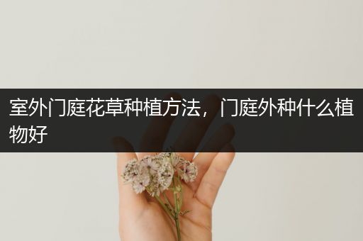 室外门庭花草种植方法，门庭外种什么植物好