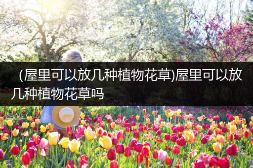 （屋里可以放几种植物花草)屋里可以放几种植物花草吗