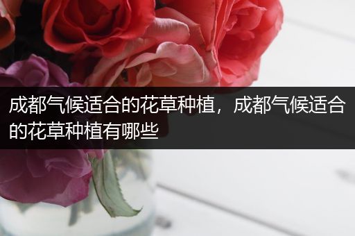 成都气候适合的花草种植，成都气候适合的花草种植有哪些