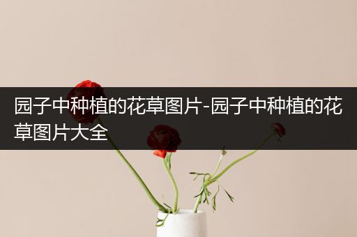 园子中种植的花草图片-园子中种植的花草图片大全