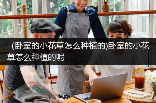（卧室的小花草怎么种植的)卧室的小花草怎么种植的呢
