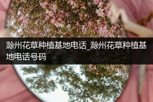 滁州花草种植基地电话_滁州花草种植基地电话号码