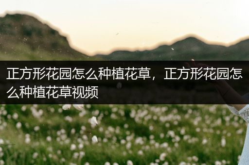 正方形花园怎么种植花草，正方形花园怎么种植花草视频