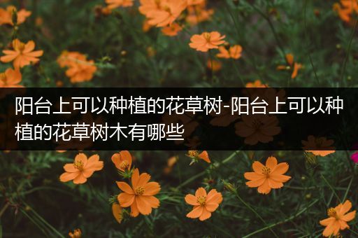 阳台上可以种植的花草树-阳台上可以种植的花草树木有哪些