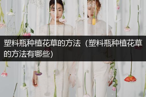 塑料瓶种植花草的方法（塑料瓶种植花草的方法有哪些）