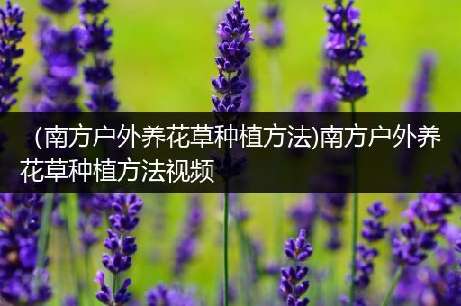 （南方户外养花草种植方法)南方户外养花草种植方法视频