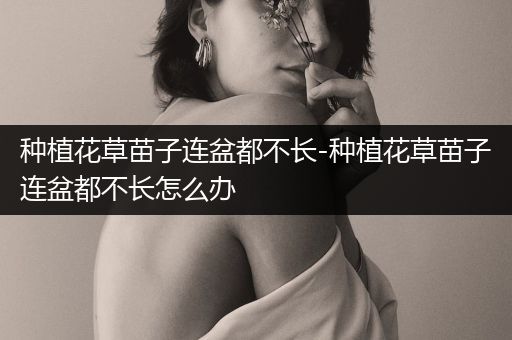 种植花草苗子连盆都不长-种植花草苗子连盆都不长怎么办