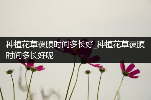 种植花草覆膜时间多长好_种植花草覆膜时间多长好呢