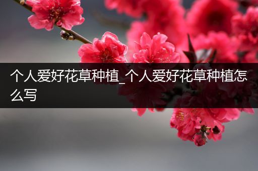 个人爱好花草种植_个人爱好花草种植怎么写