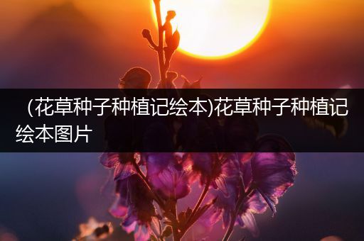 （花草种子种植记绘本)花草种子种植记绘本图片