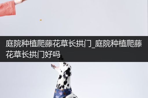 庭院种植爬藤花草长拱门_庭院种植爬藤花草长拱门好吗