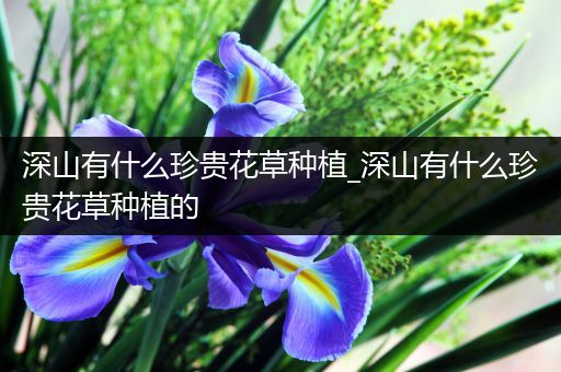 深山有什么珍贵花草种植_深山有什么珍贵花草种植的