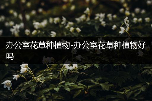 办公室花草种植物-办公室花草种植物好吗