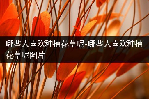 哪些人喜欢种植花草呢-哪些人喜欢种植花草呢图片