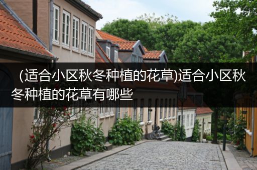 （适合小区秋冬种植的花草)适合小区秋冬种植的花草有哪些
