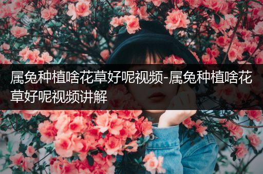 属兔种植啥花草好呢视频-属兔种植啥花草好呢视频讲解
