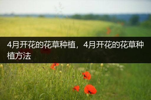 4月开花的花草种植，4月开花的花草种植方法