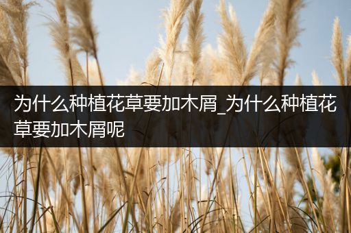 为什么种植花草要加木屑_为什么种植花草要加木屑呢